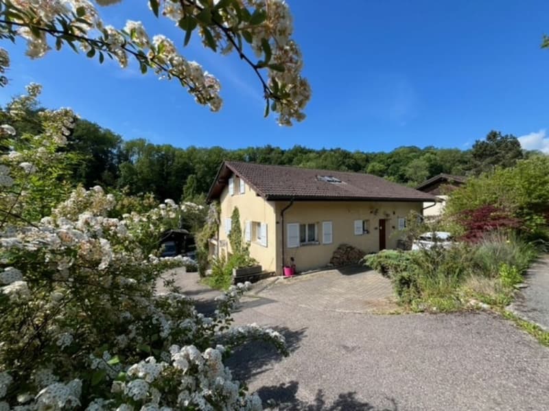 Prächtige Villa mit Pool in Valeyres-sous-Montagny (11)