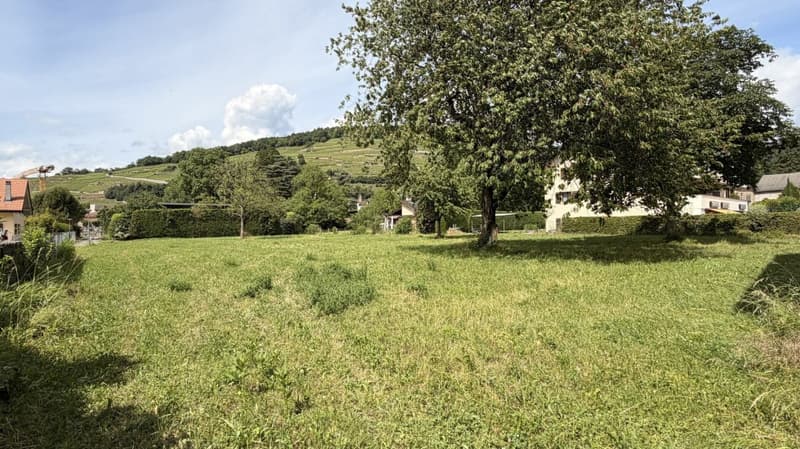 Bauplatz mit Projekt in Bex zu verkaufen (2)