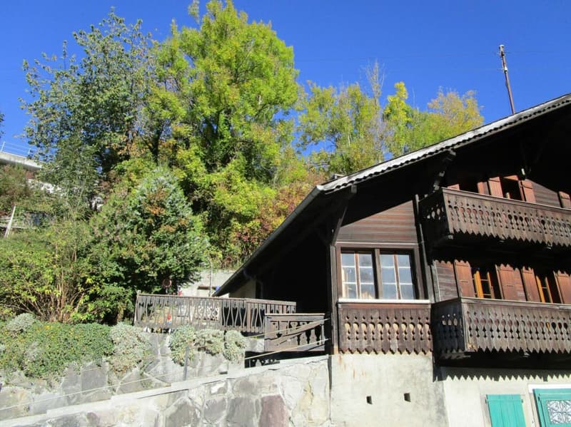 Chalet de 3 appartements idéal pour du rendement ! (1)