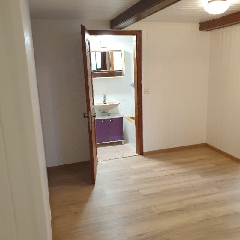 Chalet de 3 appartements idéal pour du rendement ! (7)