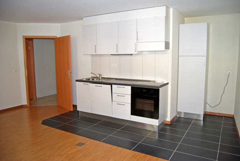 Immeuble de rendement à St-Maurice (9)