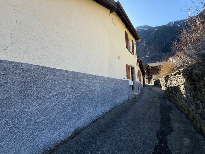 Appartement en duplex de 3 pièces (1)