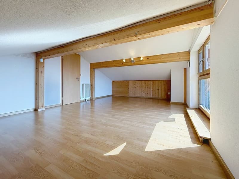Magnifique villa d'architecte avec spectaculaire vue panoramique sur la plaine et les Dents-du-Midi (15)