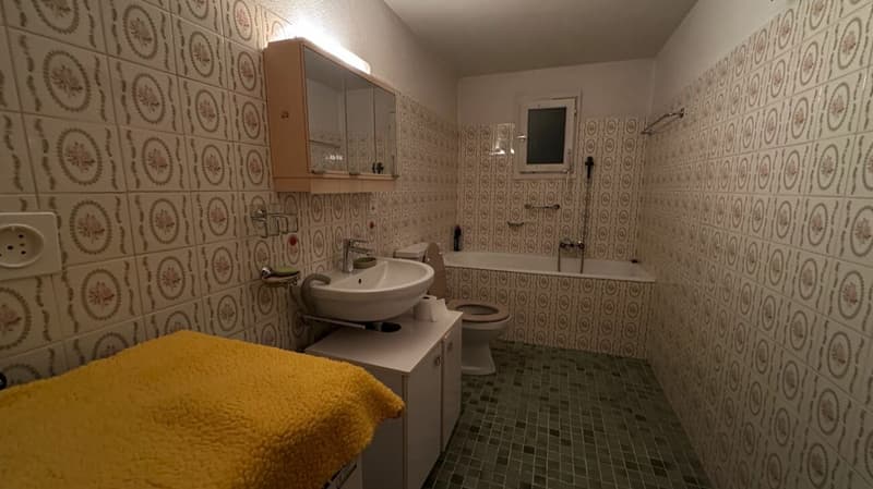 Immeuble locatif à Vouvry (21)