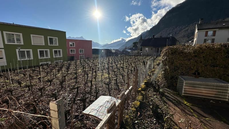 Immeuble locatif à Vouvry (26)