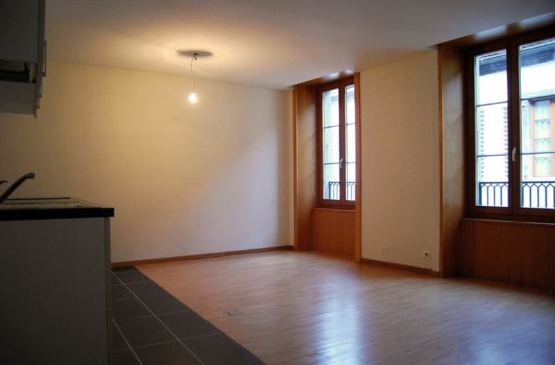 Immeuble de rendement à St-Maurice (11)