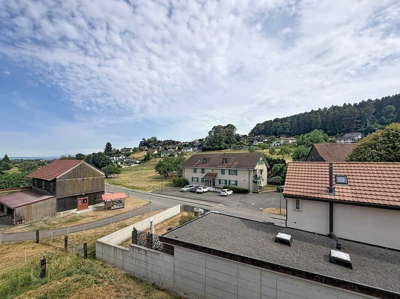 Appartement de 4,5 pièces à Châtillon (2)