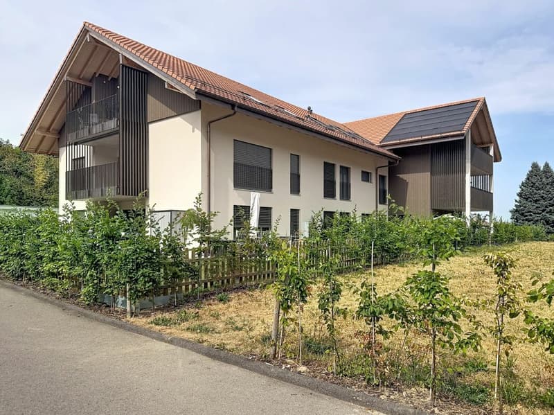 Appartement de 4,5 pièces à Châtillon (1)