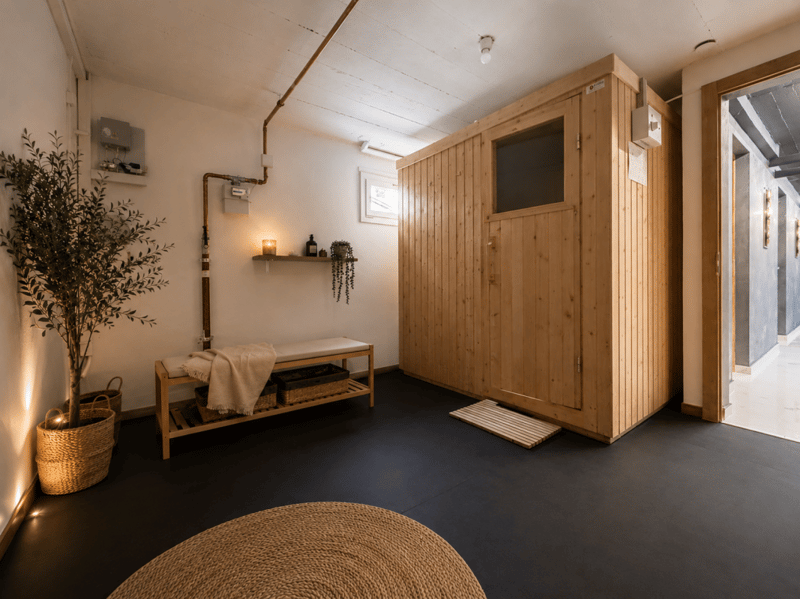 Maison individuelle avec possibilité d'activité indépendante et grande terrasse (11)