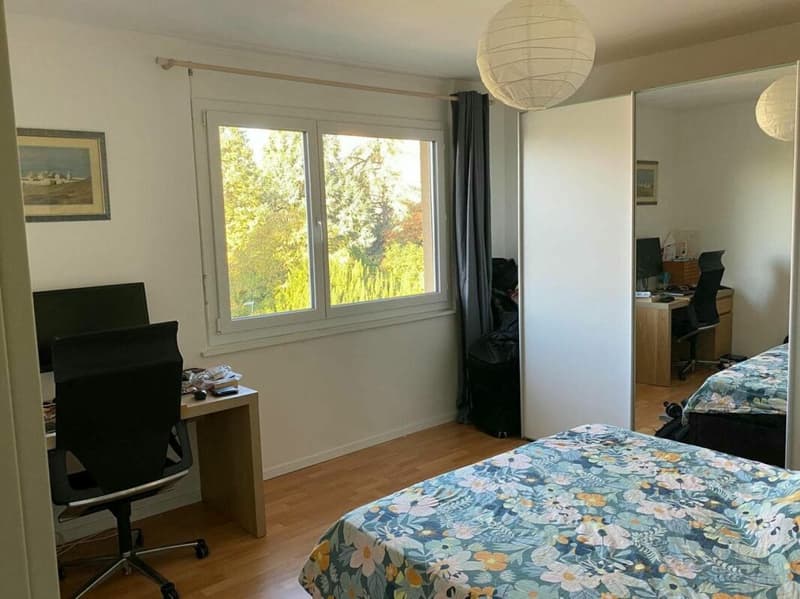Appartement de 3,5 pièces 100m2 centre Vevey vue lac et montagnes (6)