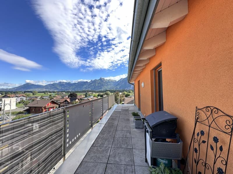 Bel appartement cosy en attique de 3.5 pièces avec Mezzanine et immense terrasse (12)
