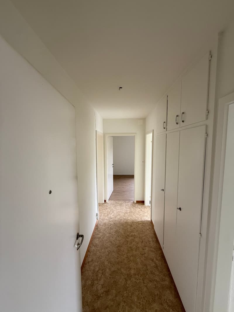 Appartement 2 pièces entretenu dans un immeuble ancien (6)