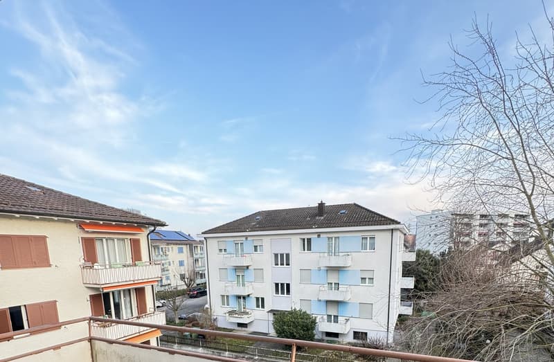 Appartement 2 pièces entretenu dans un immeuble ancien (4)