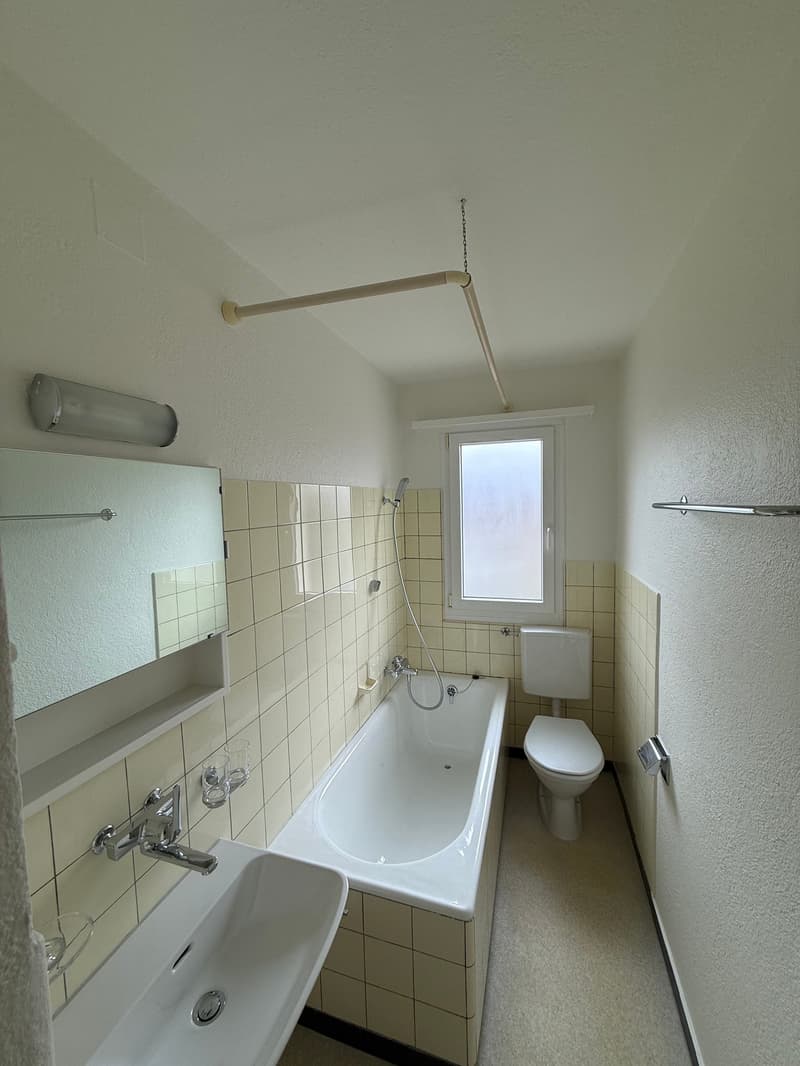 Appartement 2 pièces entretenu dans un immeuble ancien (10)