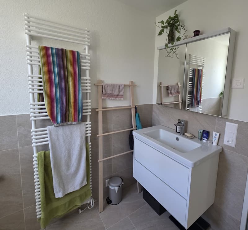 Moderne 4½-Zimmer-Wohnung mit Balkon (10)