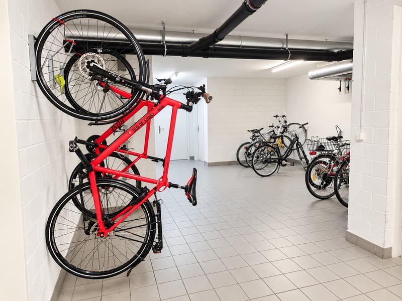 Helle 4.5-Zimmer-Wohnung mit Balkon und Garage in Dietikon (20)