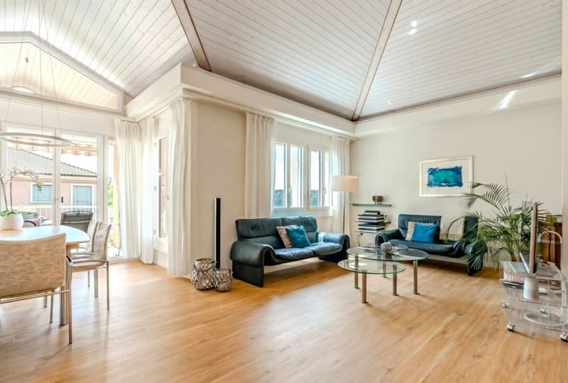 Penthouse apartment with unobstructable panoramic view (4)