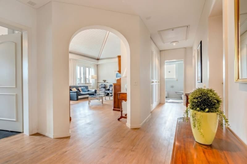 Penthouse apartment with unobstructable panoramic view (9)