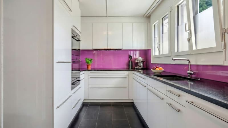 Penthouse apartment with unobstructable panoramic view (6)