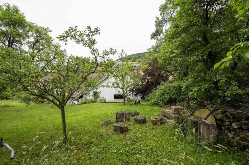 Multi-family house with expansion and building land reserve (15)
