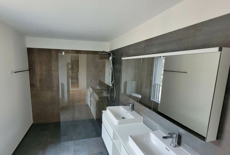 Appartement 4,5 pièces (étage mansardé) (9)