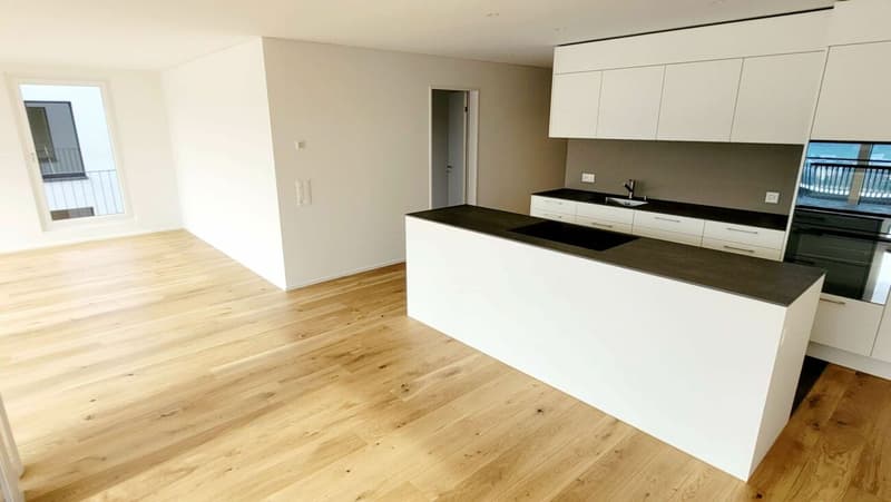Appartement 4,5 pièces (étage mansardé) (6)