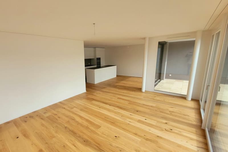 Appartement 4,5 pièces (étage mansardé) (5)