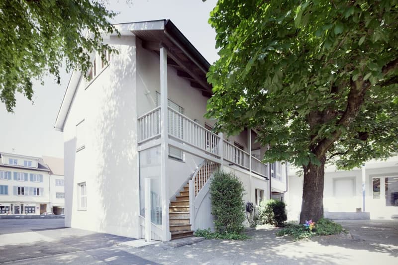 Grosszügiges Einfamilienhaus mit Gewerberäumen (11)