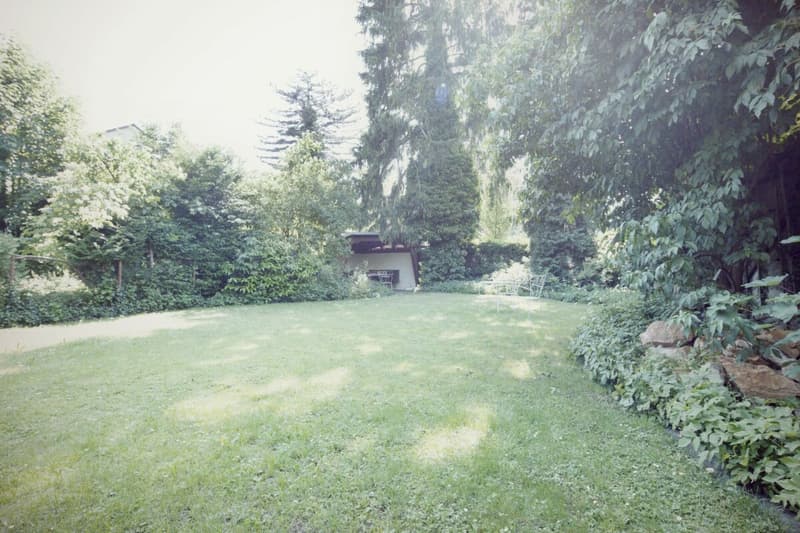 Grosszügiges Einfamilienhaus mit Gewerberäumen (12)