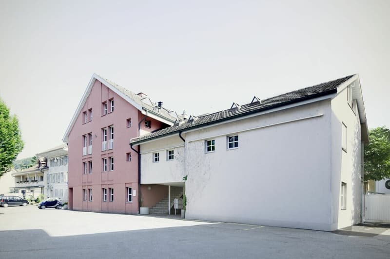Grosszügiges Einfamilienhaus mit Gewerberäumen (10)