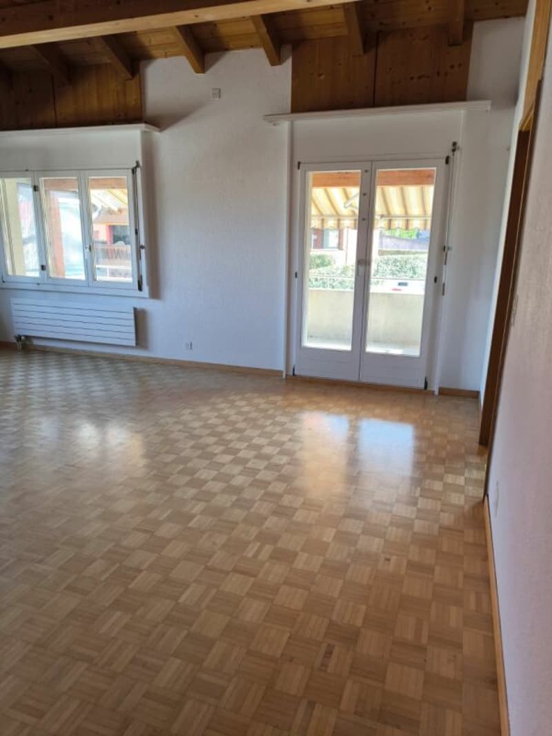 Ampio appartamento di 4,5 locali con galleria aggiuntiva (7)
