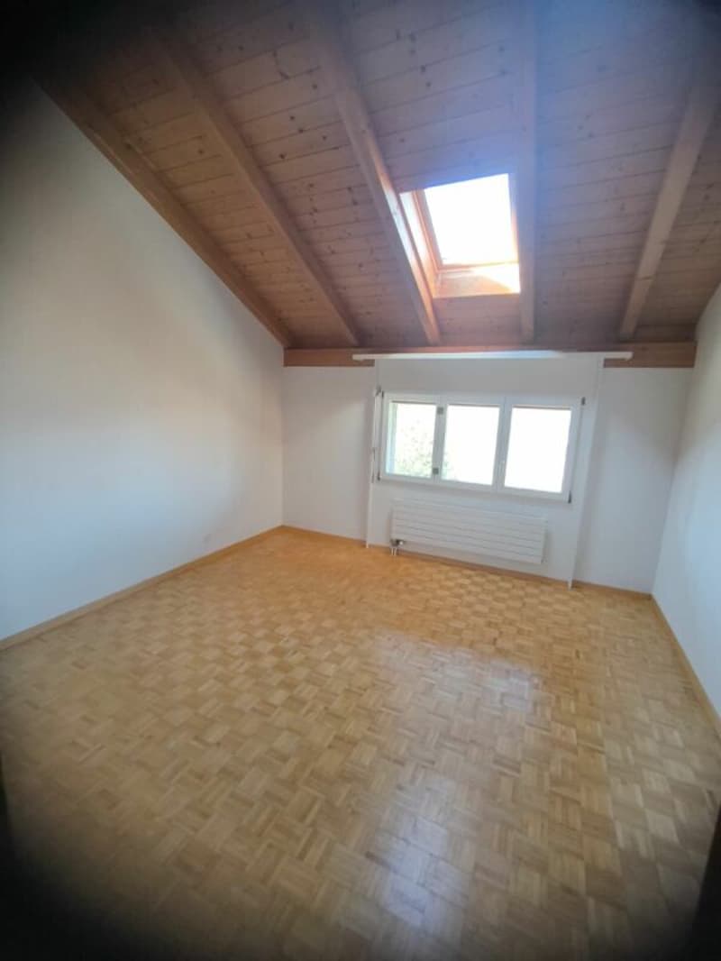 Ampio appartamento di 4,5 locali con galleria aggiuntiva (12)