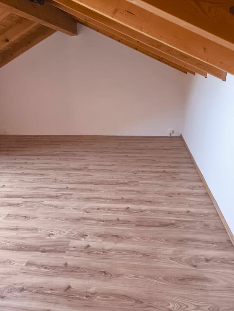 Ampio appartamento di 4,5 locali con galleria aggiuntiva (23)