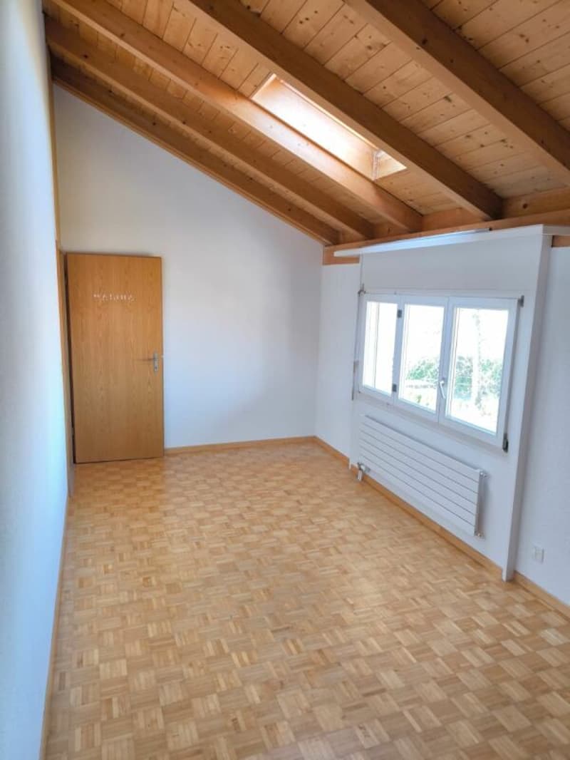 Ampio appartamento di 4,5 locali con galleria aggiuntiva (13)