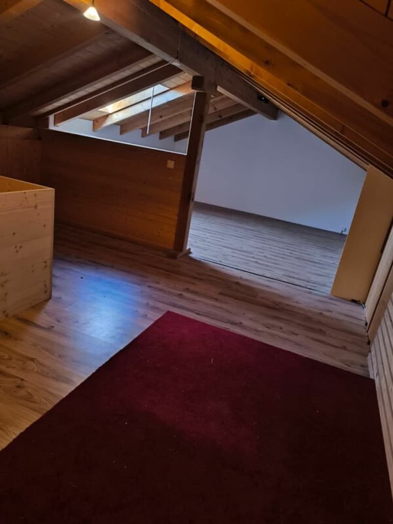 Ampio appartamento di 4,5 locali con galleria aggiuntiva (22)