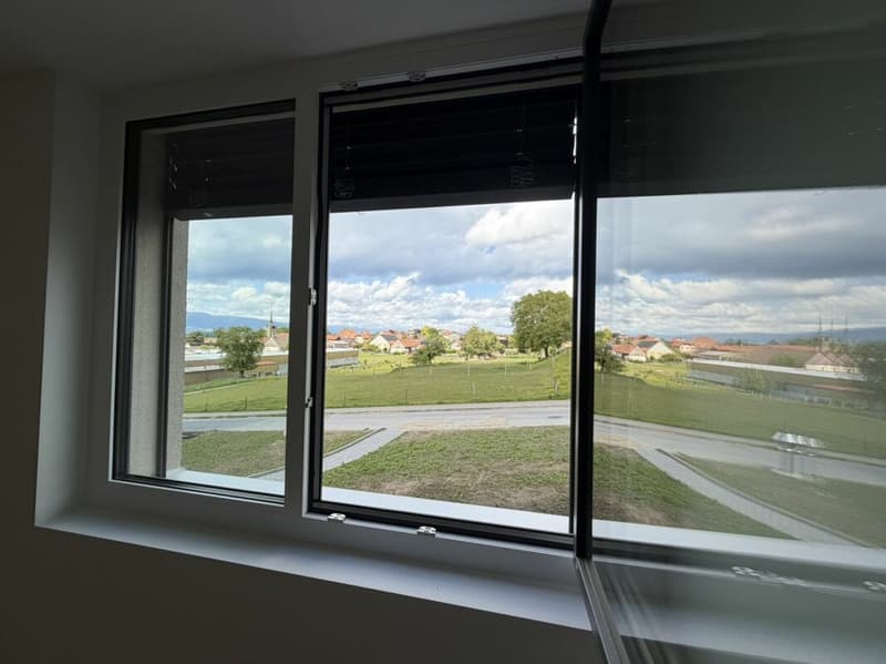 The last 4.5-room apartment Vulliama (19)
