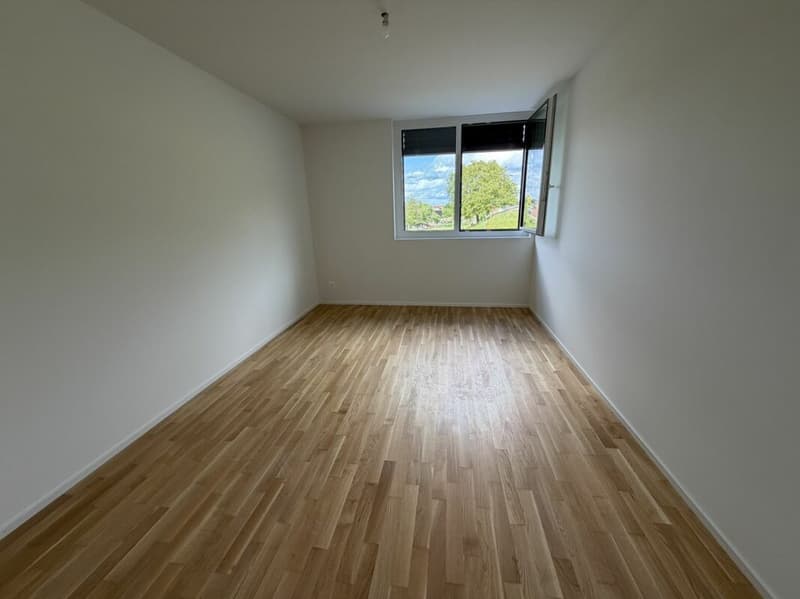 The last 4.5-room apartment Vulliama (17)