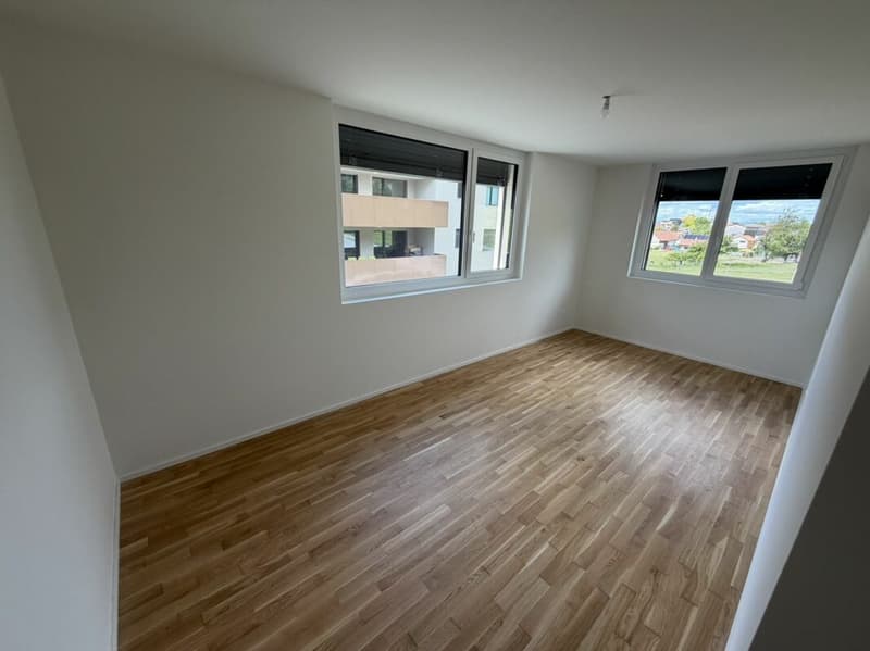 The last 4.5-room apartment Vulliama (16)