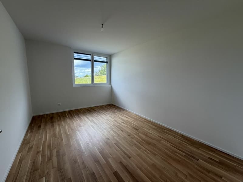 The last 4.5-room apartment Vulliama (18)