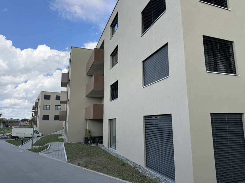 The last 4.5-room apartment Vulliama (30)