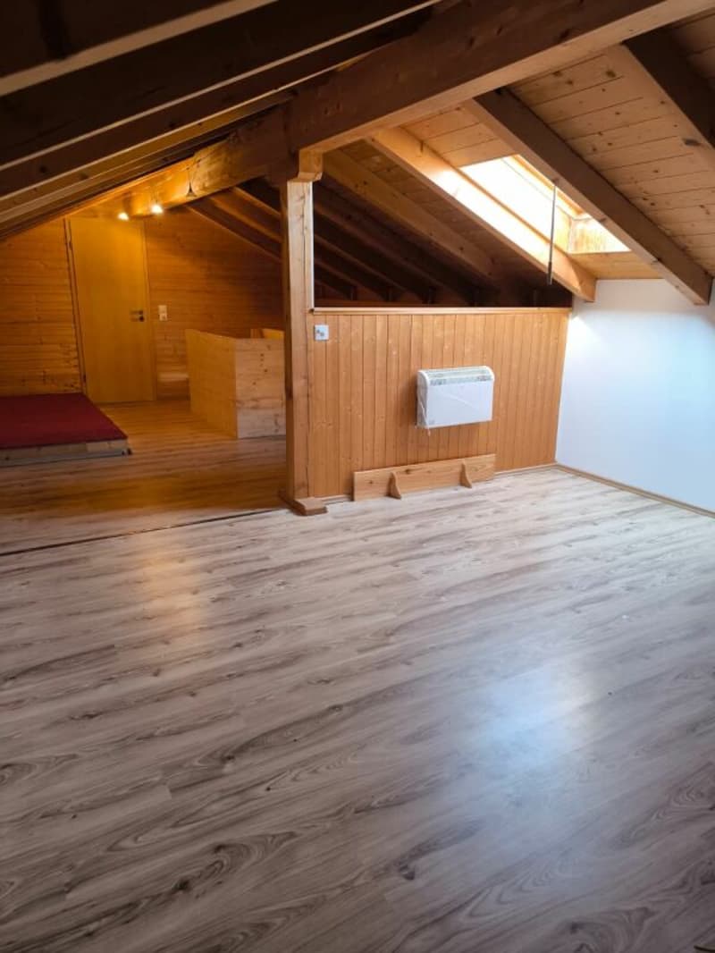 Grand appartement 4,5 pièces avec galerie supplémentaire (22)