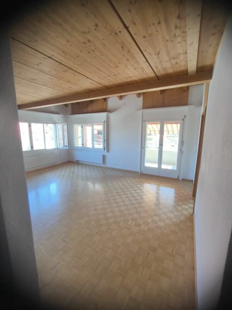 Grand appartement 4,5 pièces avec galerie supplémentaire (7)