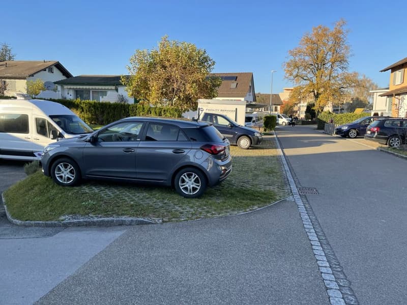 Affascinante appartamento mansardato di 3,5 locali in zona verde (15)