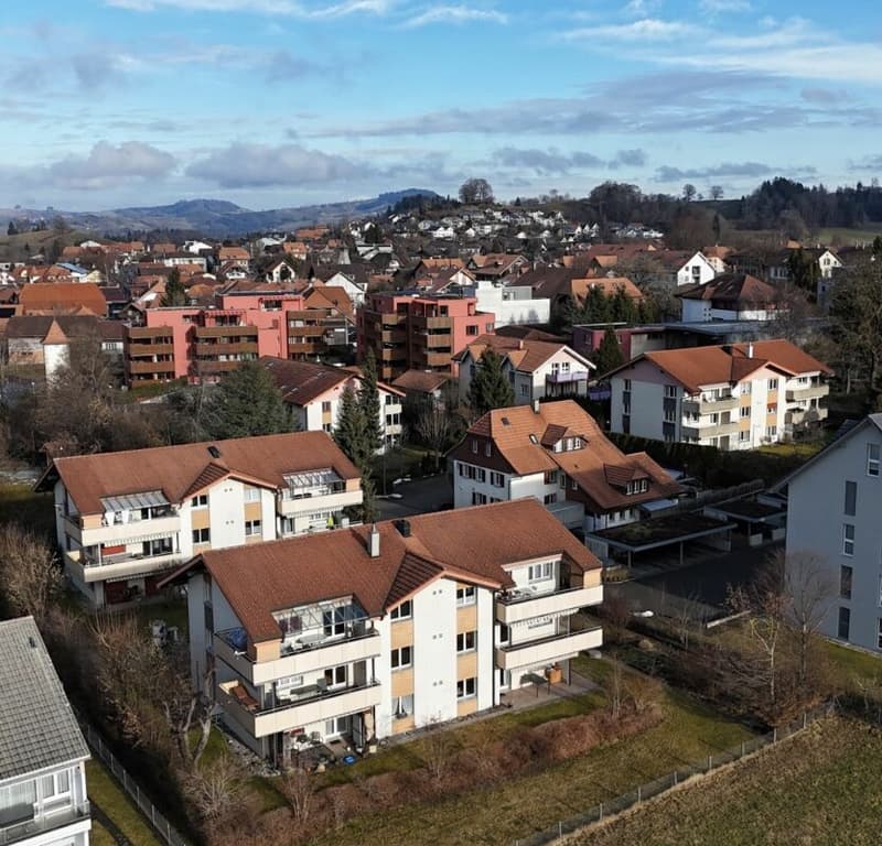 Bello 1,5 locali con terrazza privata (13)