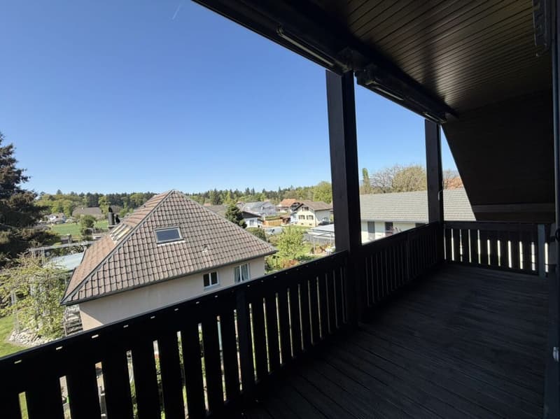 Grosse 4,5 Zimmer für 5-15 Monate (3)