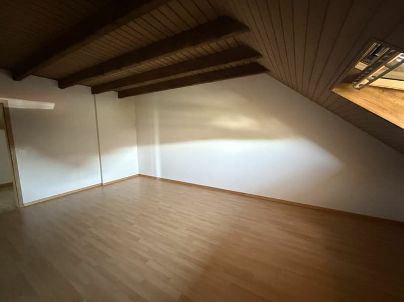 Grosse 4,5 Zimmer für 5-15 Monate (11)