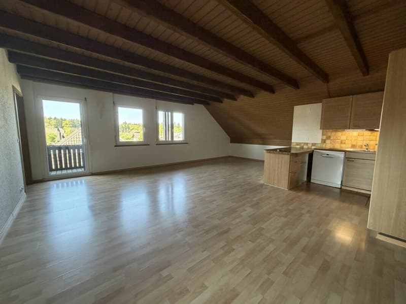 Grosse 4,5 Zimmer für 5-15 Monate (12)