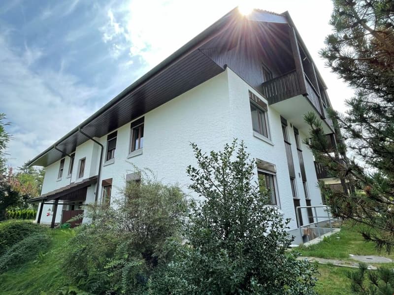 Grosse 4,5 Zimmer für 5-15 Monate (2)