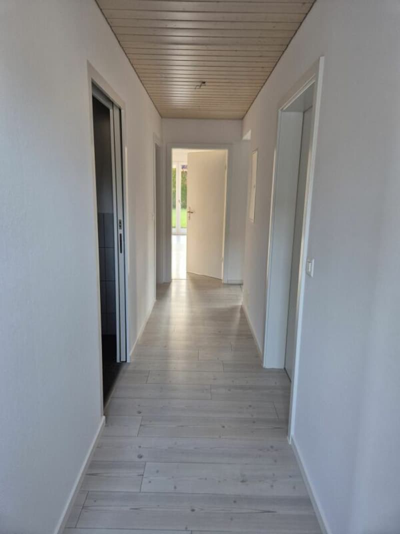 3.5 Zi sonnige Gartenwohnung (16)