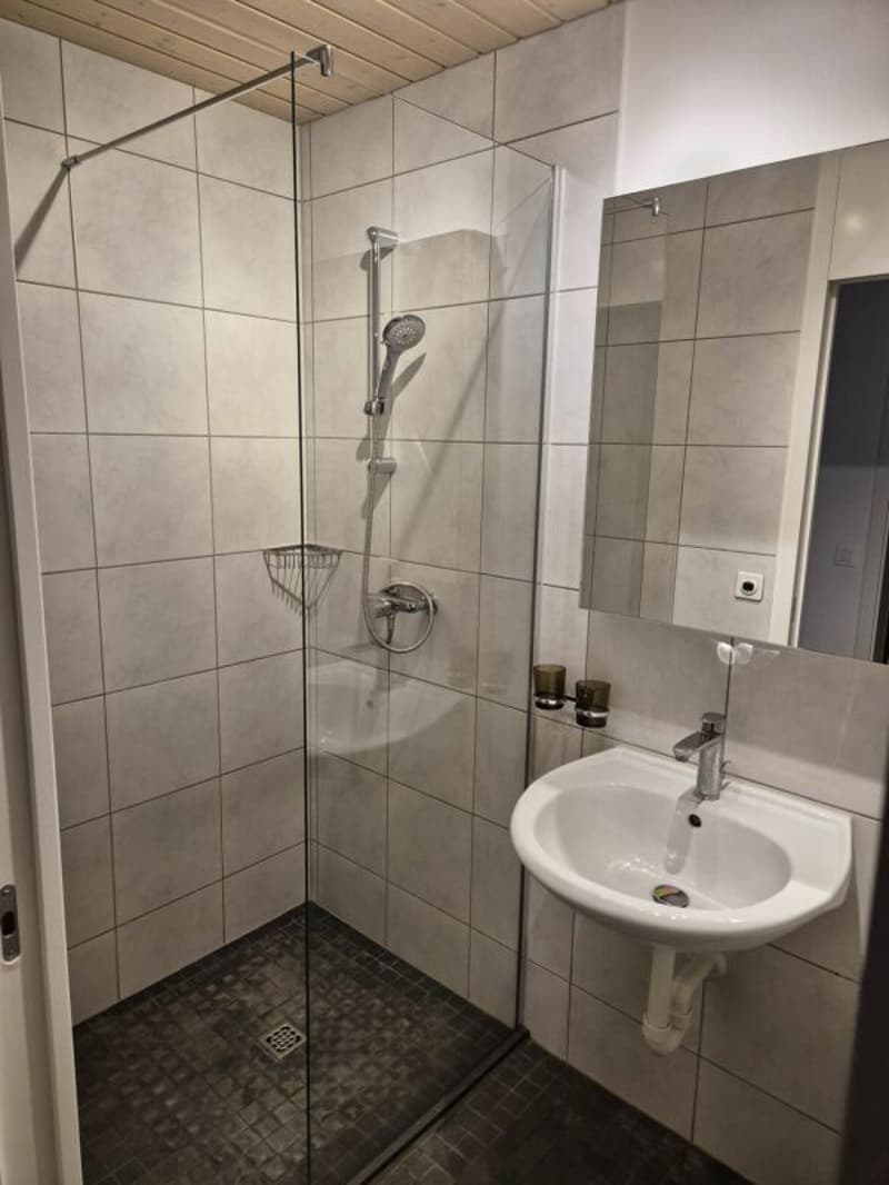 3.5 Zi sonnige Gartenwohnung (10)